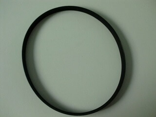 Correia-TLP-5m-630.jpg