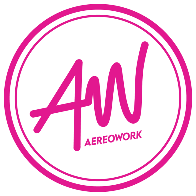 BUNGEE AEREOWORK logo