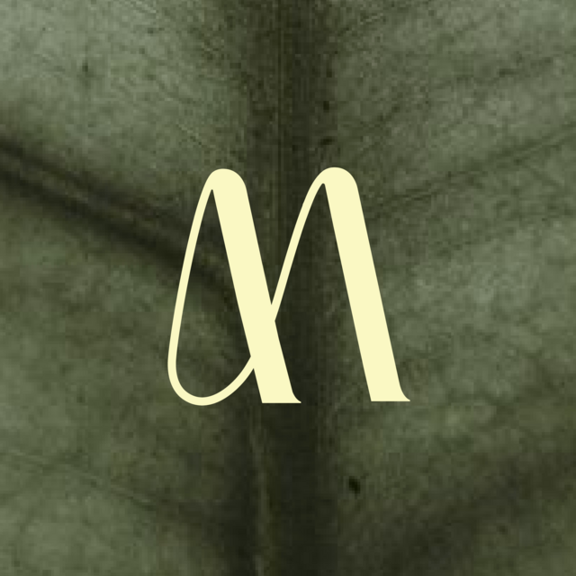 Casa Mouva logo