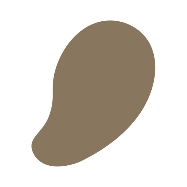 Lava Studio logo