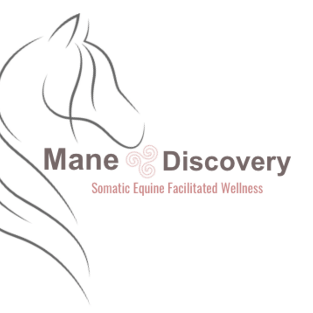 Mane Discovery  logo