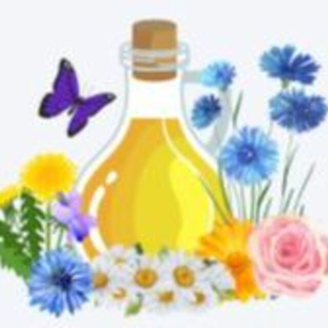 logo website
