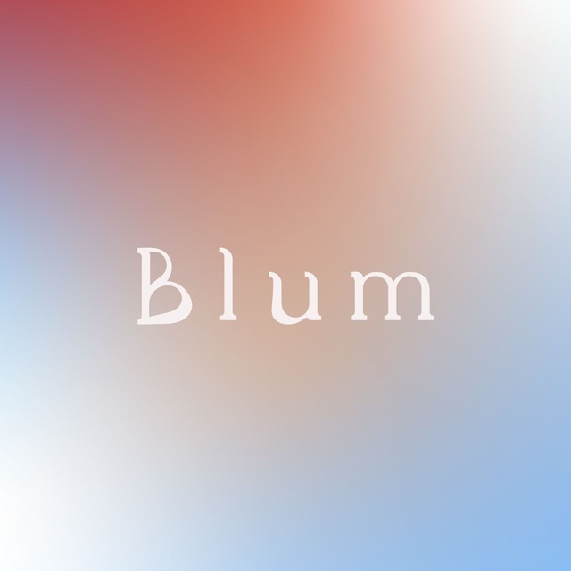 Blum Studio logo