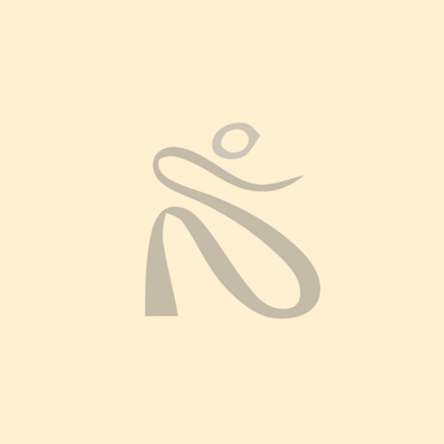 Pulse Pilates Qro logo