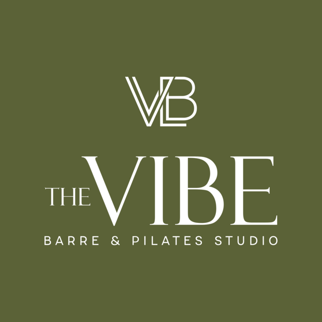 THE VIBE logo