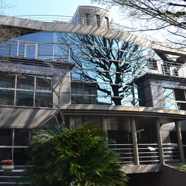 Shibuya-ku -Tokyo, Japan