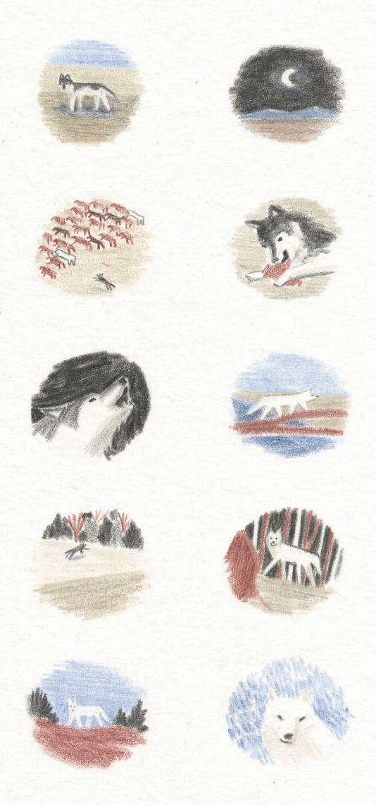 Wolves 1