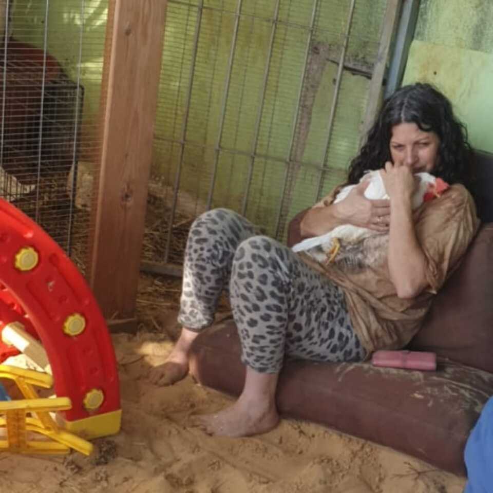 בבית של גילי- מרחב טבע משפחתי, עין שריד
