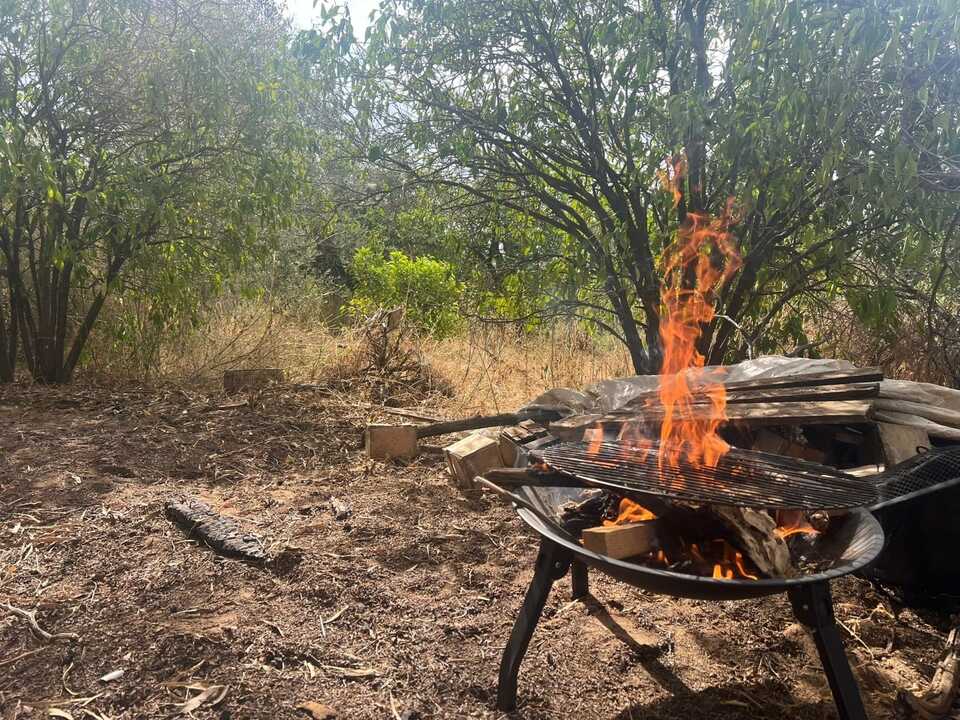 בבית של גילי- מרחב טבע משפחתי, עין שריד