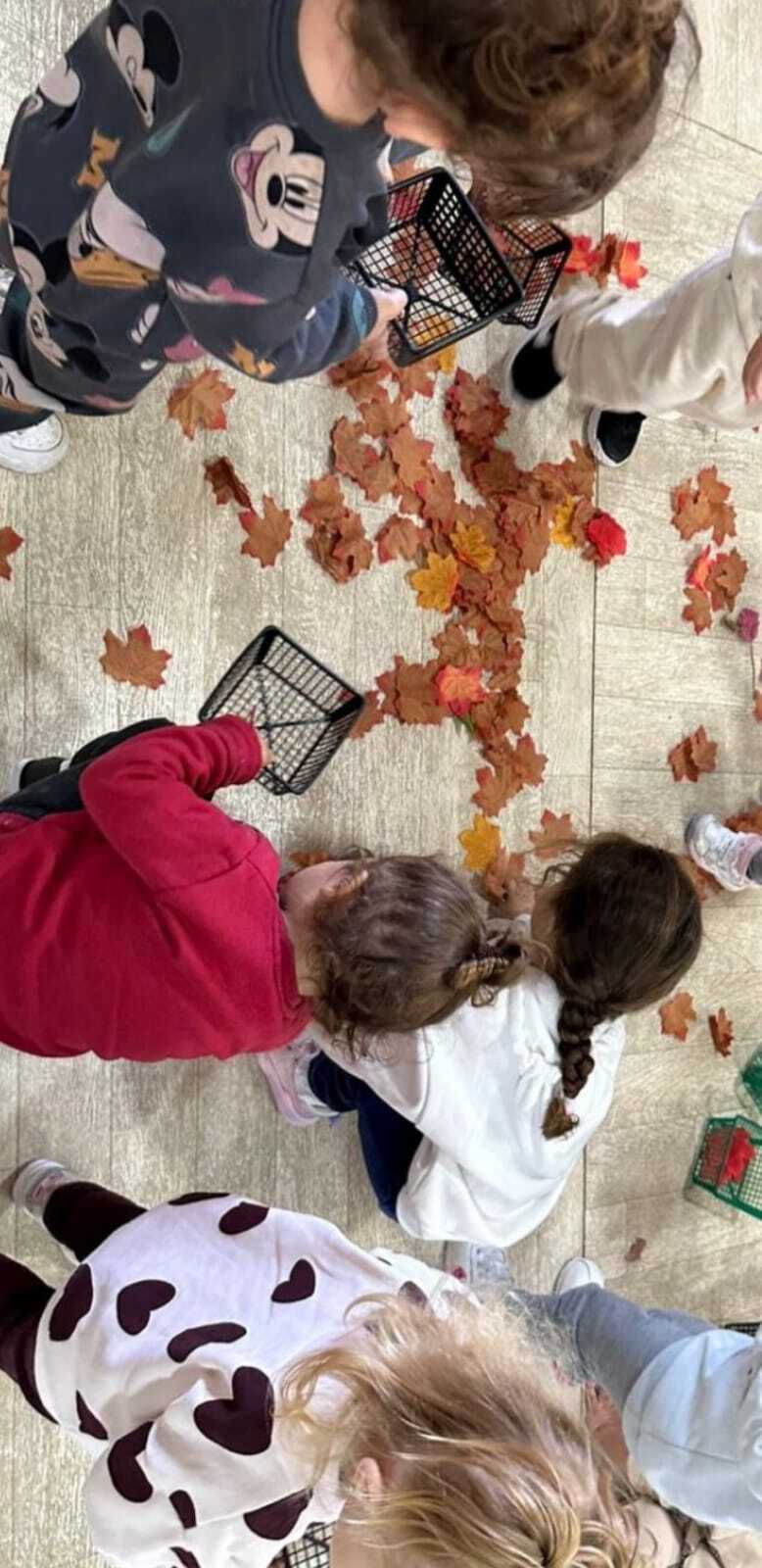 הגנון של דוריתי, שוהם 34, מעלות תרשיחא