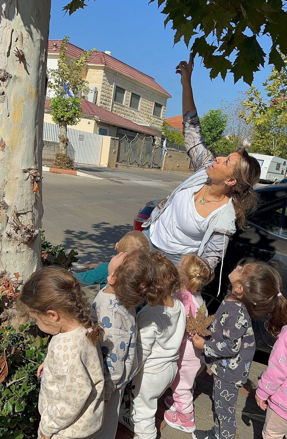 הגנון של דוריתי, שוהם 34, מעלות תרשיחא