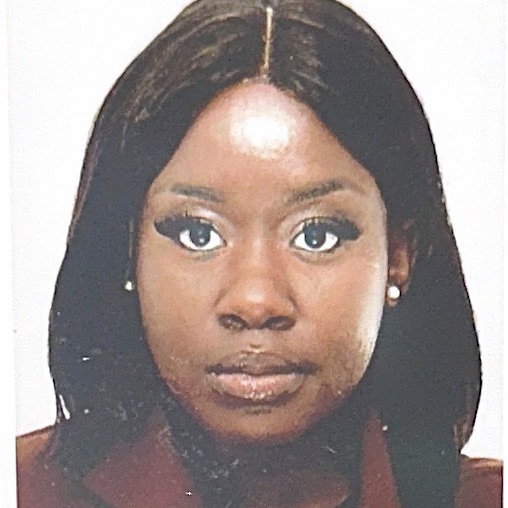 Eniola Oluwaseun Adumasi