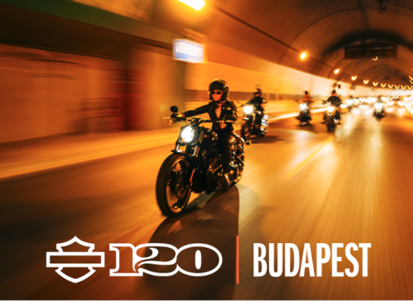 harley davidson motor co group llc