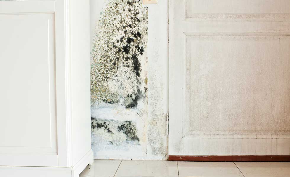 Damp in a white kitchen