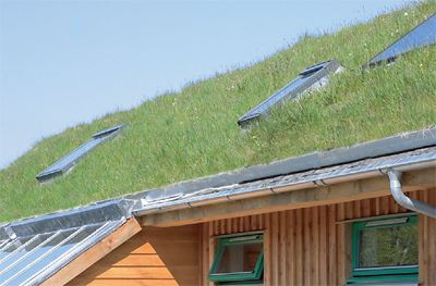 Green Roof