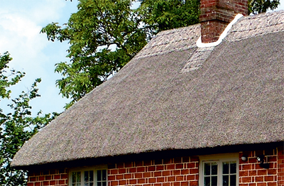 Thatched Roof