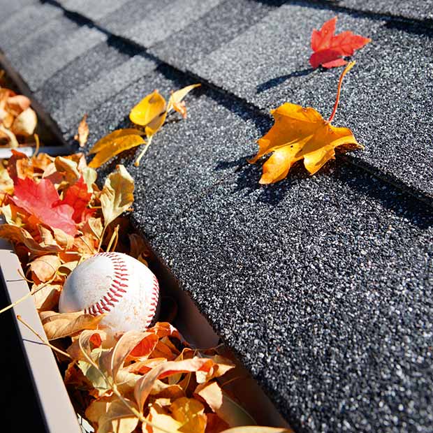 baseball blocking a drain