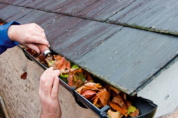 clearing leaves from a gutter