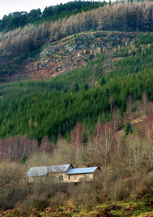 A wooded forest sloping site in Perthshire with a modern home sitting on the hillside