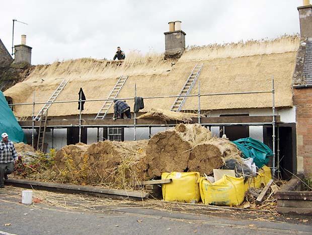 The thatching process