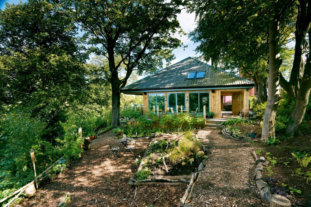 cottage in woods