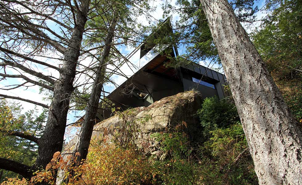 treetop view of contemporary forest home