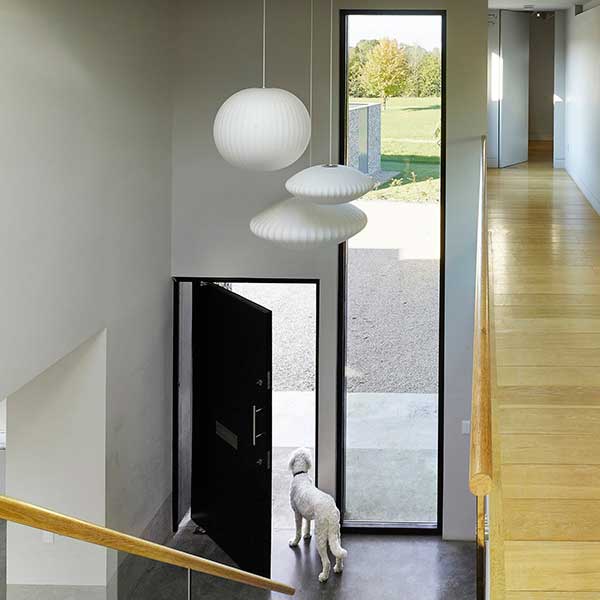 white modern hallways and landing with wooden flooring, hanging white lamp shades and front door open with white dog looking out