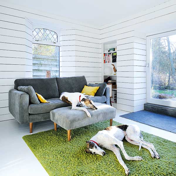 scandi style living room with grey sofas, green rug and relaxing dogs
