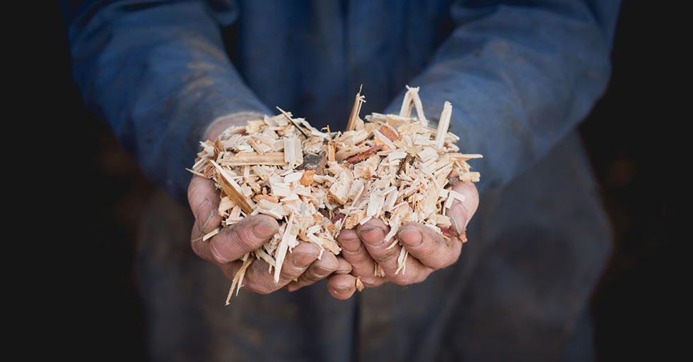 energy saving trust scotland Consider alternative fuels for your home’s future