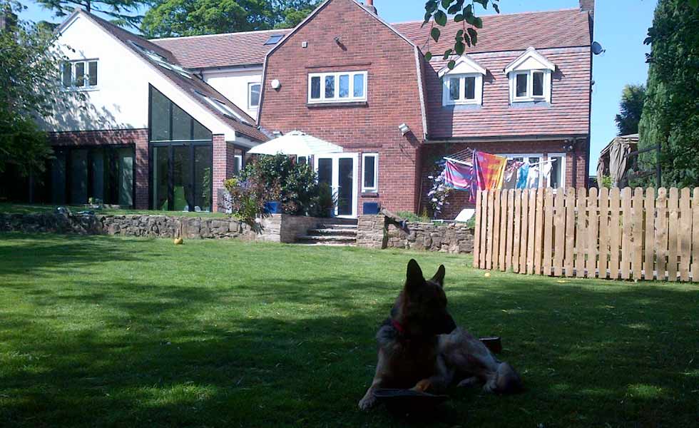 SIPS UK newbuild garden dog
