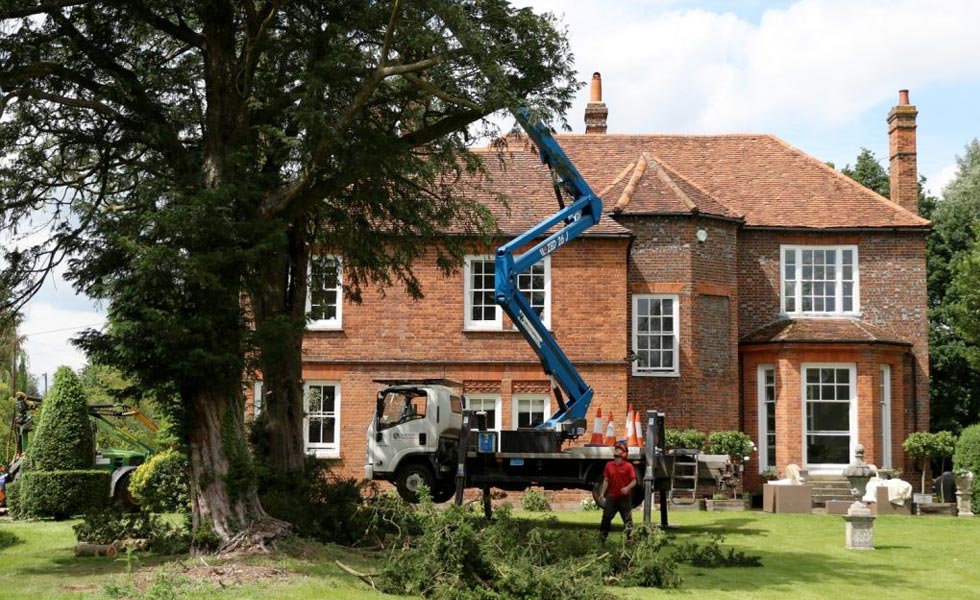 Braemar tree preservation