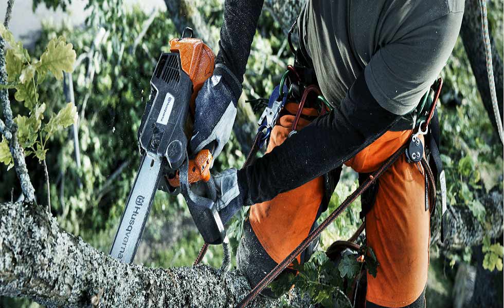 chelford farm supplies chainsaw