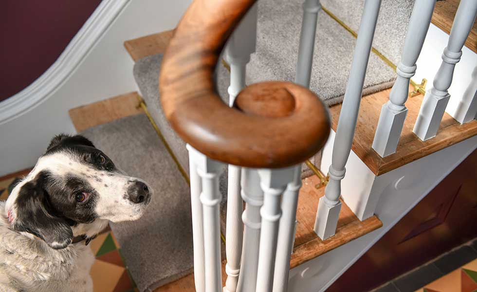 Original Victorian staircase