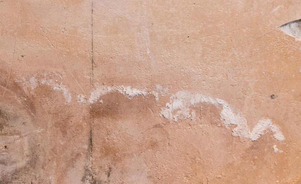 damp wall