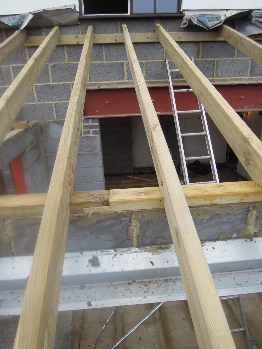 rafters of an extension