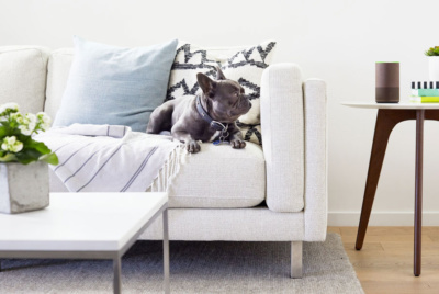 Alexa Amazon Prime Day Deals