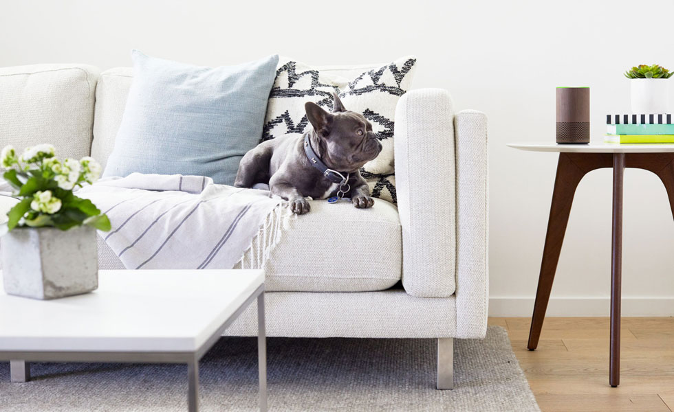 Alexa Amazon Prime Day Deals