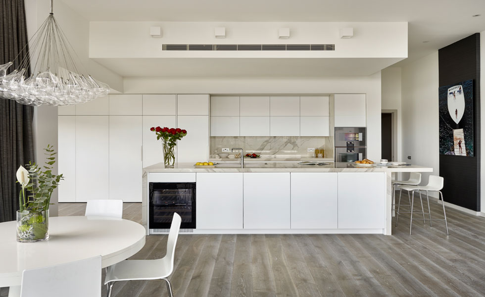 Contemporary open plan kitchen