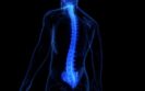A 3d computer generated drawing of a human body in blue on a black background with a glowing spine and sacroiliac joints to suggest axial spondyloarthritis and illustrate a new BSR guideline