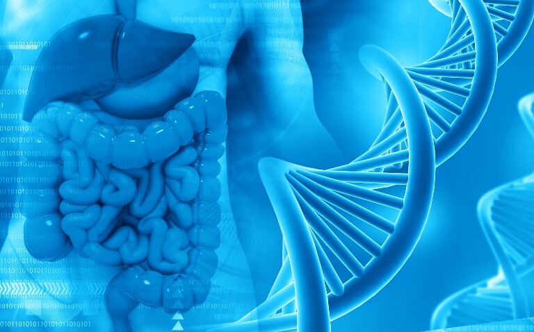 Mechanism linking acute exercise and DNA repair in colon cancer cells uncovered
