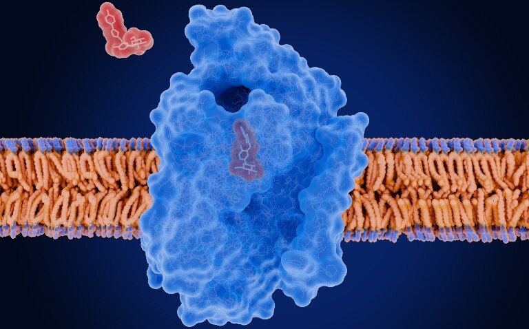 Superior renal benefits of SGLT2 inhibitors in type 2 diabetes highlighted in comparative study