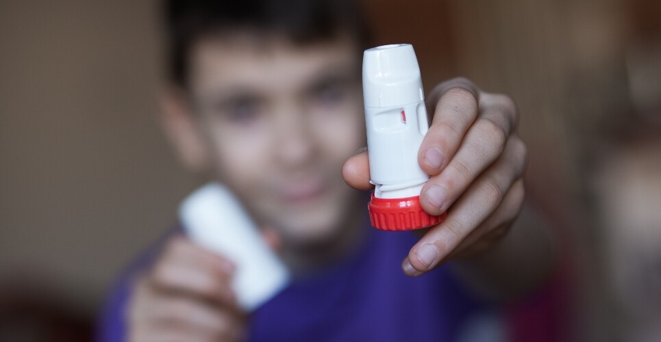 A young boy wearing a purple tshirt and reaching his arms forwards holding a white and red Turbohaler inhaler with the main part in one hand and the cover in the other hand to illustrate the finding that a combined budesonide-formoterol inhaler cuts asthma attacks in children