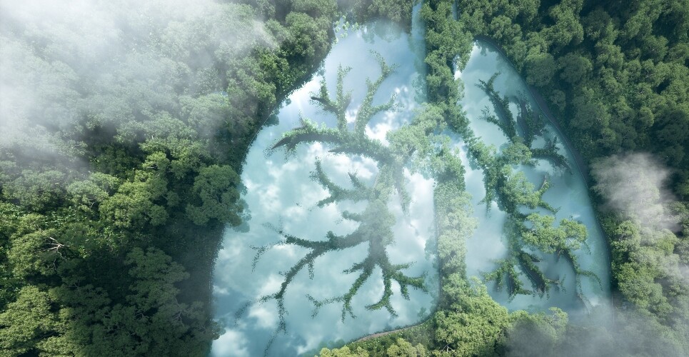 A forest view from above with a lake in the shape of human lungs in the centre and the reflection of clouds in the water to illustrate the need for pharmacists to be given more tools to drive sustainable respiratory practice