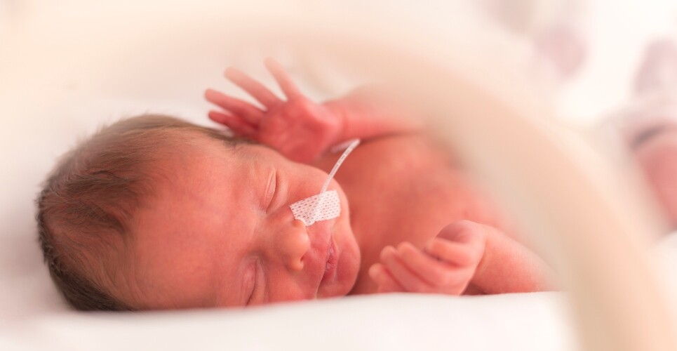 Early enteral feeding for preterm infants deemed safe and feasible