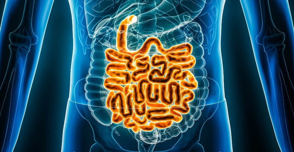 Medical illustration of a human torso with the small intestine highlighted in bright orange, visible through a semi-transparent blue body outline to represent the strengthening of specialist pharmacy support for intestinal failure care