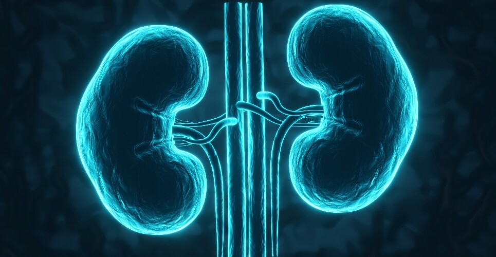 A digital illustration of glowing human kidneys on a blue background to illustrate the NICE approval of obinutuzumab for lupus nephritis