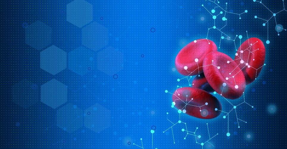 NOAC underdosing and bleeding risk factors in elderly AF patients examined
