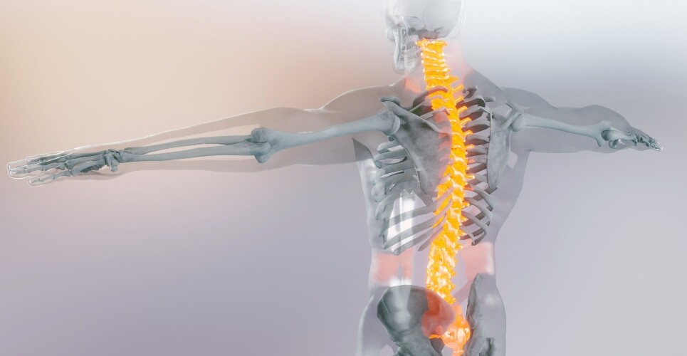 Upadacitinib delivers rapid and sustained pain relief across axSpA spectrum, study shows
