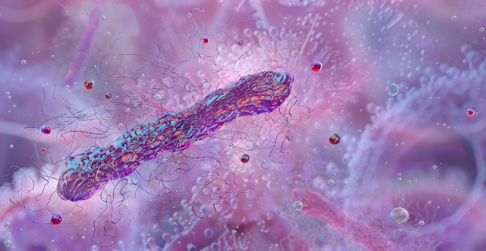 A microscopic view of a Clostridioides difficile bacteria to illustrate CDI in critically ill patients