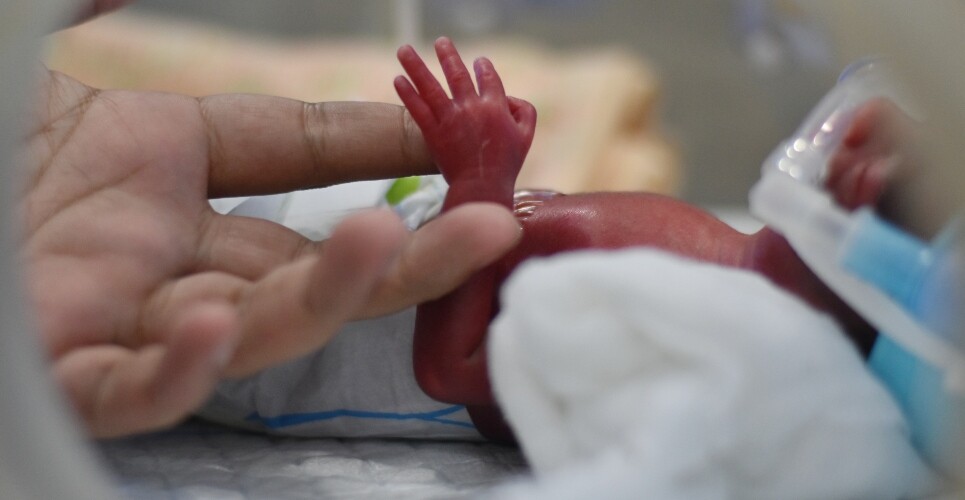 A premature baby in an incubator with a parent's hand holding theirs to illustrate the impact of prophylactic hydrocortisone on BPD-free survival in extremely preterm infants